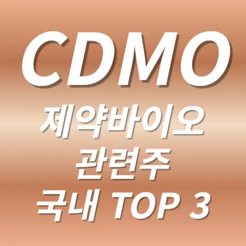 CDMO 제약바이오 관련주