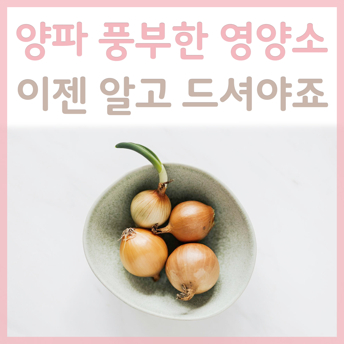 그릇에-담아있는-양파