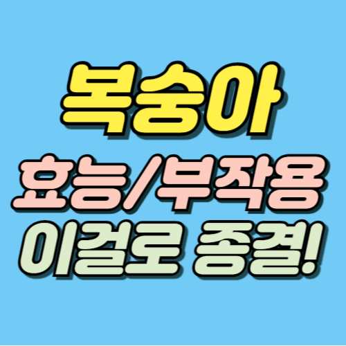 복숭아 효능 부작용