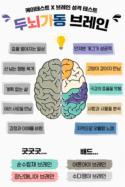 두뇌가동 브레인
