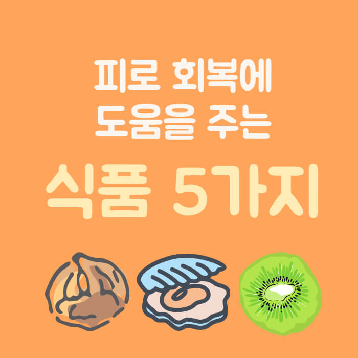 피로회복에 도움을 주는 식품5가지 굴&#44; 키위&#44; 호두 그림
