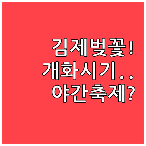 김제 벚꽃 개화 예상일과 야간 꽃빛축..