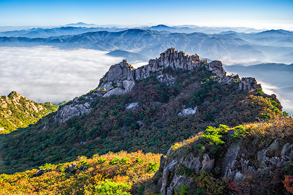 월출산 등산코스 추천