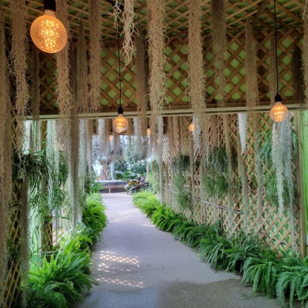 강릉솔향수목원