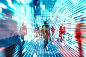 사업자등록번호 조회8