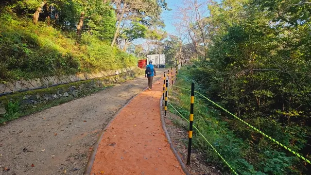 엄광산 맨발숲길