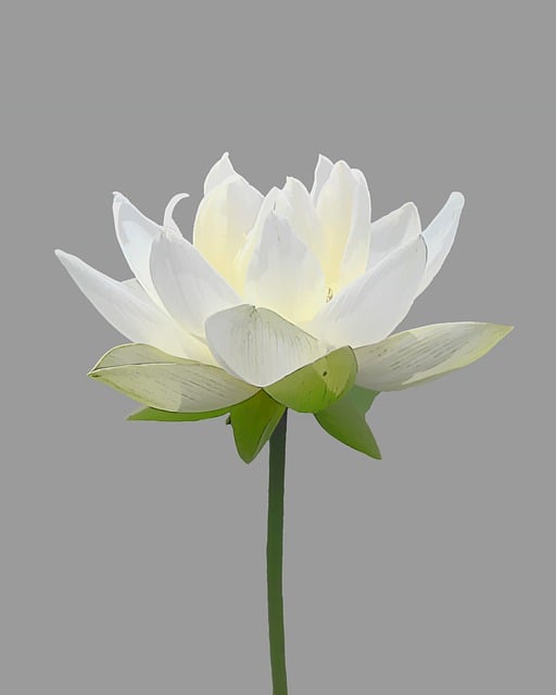 테슬라 전기차 가격 사진