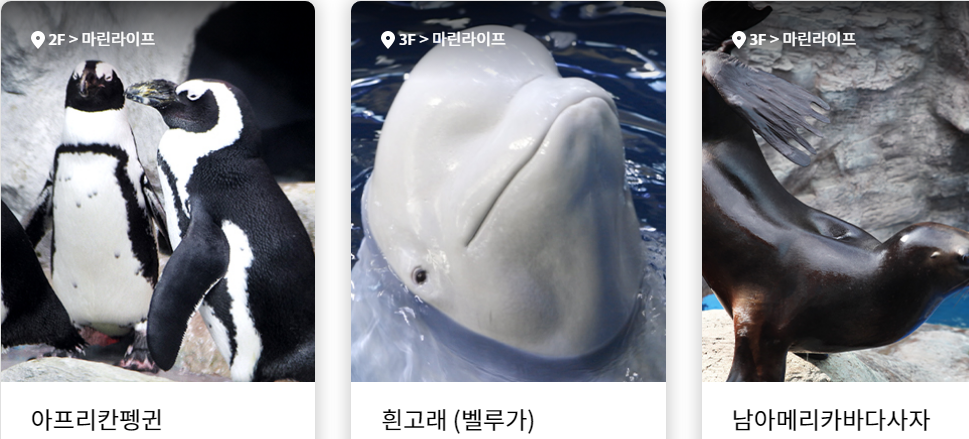 여수아쿠아플라넷