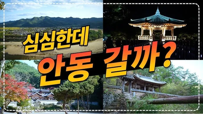 안동 맛집 베스트10 방송 출연 블루리본 맛집_4