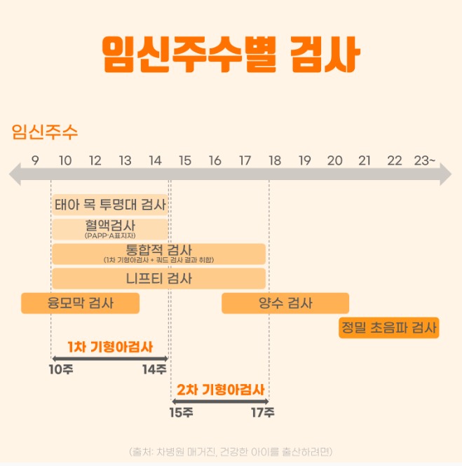 태아보험 가입시기