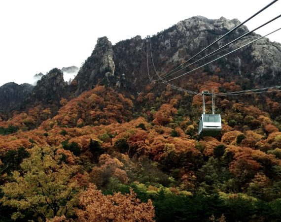 2025 추석연휴 강원도 가볼만한 곳 Best 5