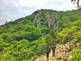 2024 땅끝해남 달마고도 힐링축제 기본일정과 특징 소개