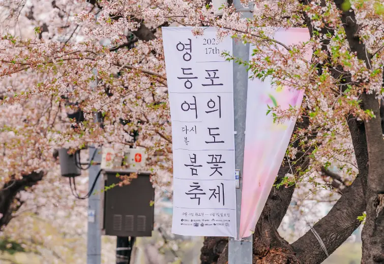 서울-여의도-벚꽃축제