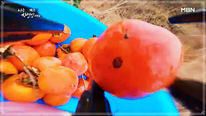 나는-자연인이다-윤택
