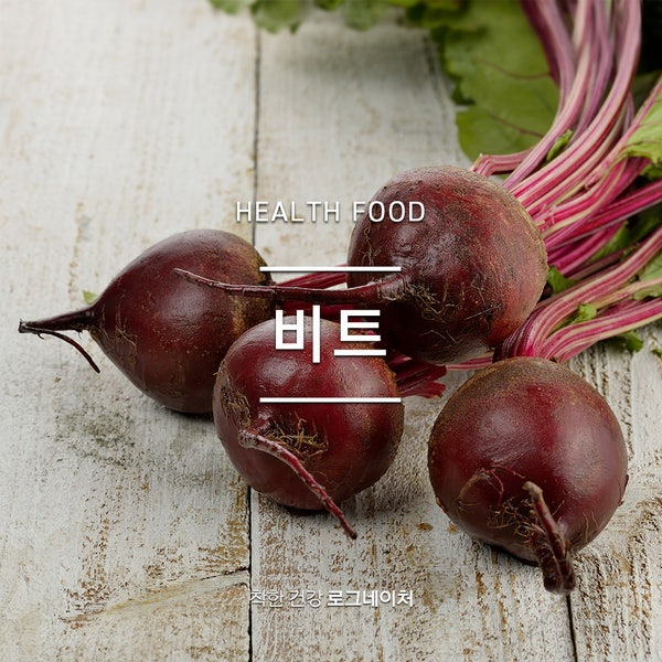 비트 이미지/ 출처 - 네이버블로그[로그네이처]