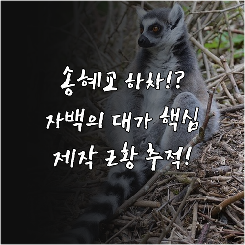 드라마 자백의 대가 캐스팅 이슈 분석..