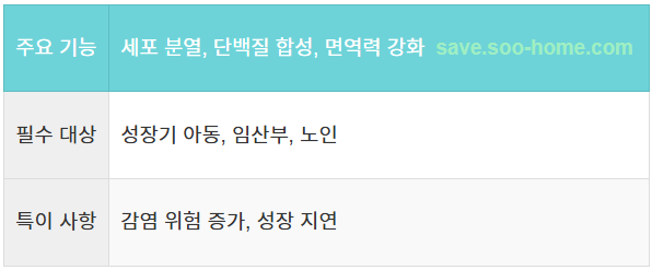 건강 유지의 핵심, 아연