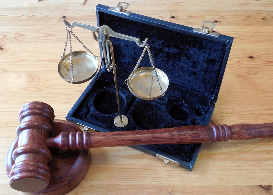 헌법재판소의 역할