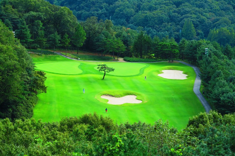 용인 기흥 88컨트리클럽 (88CC) 소개