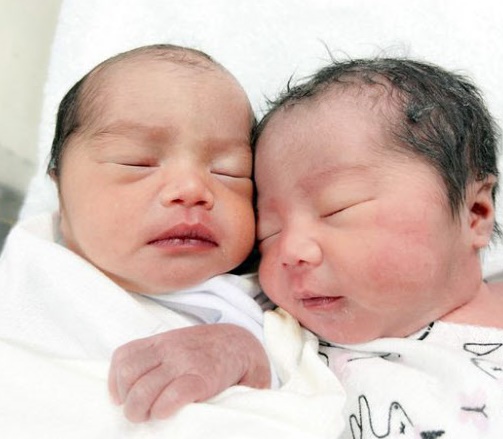 쌍둥이 아기