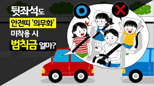 🚨 뒷좌석 안전띠 