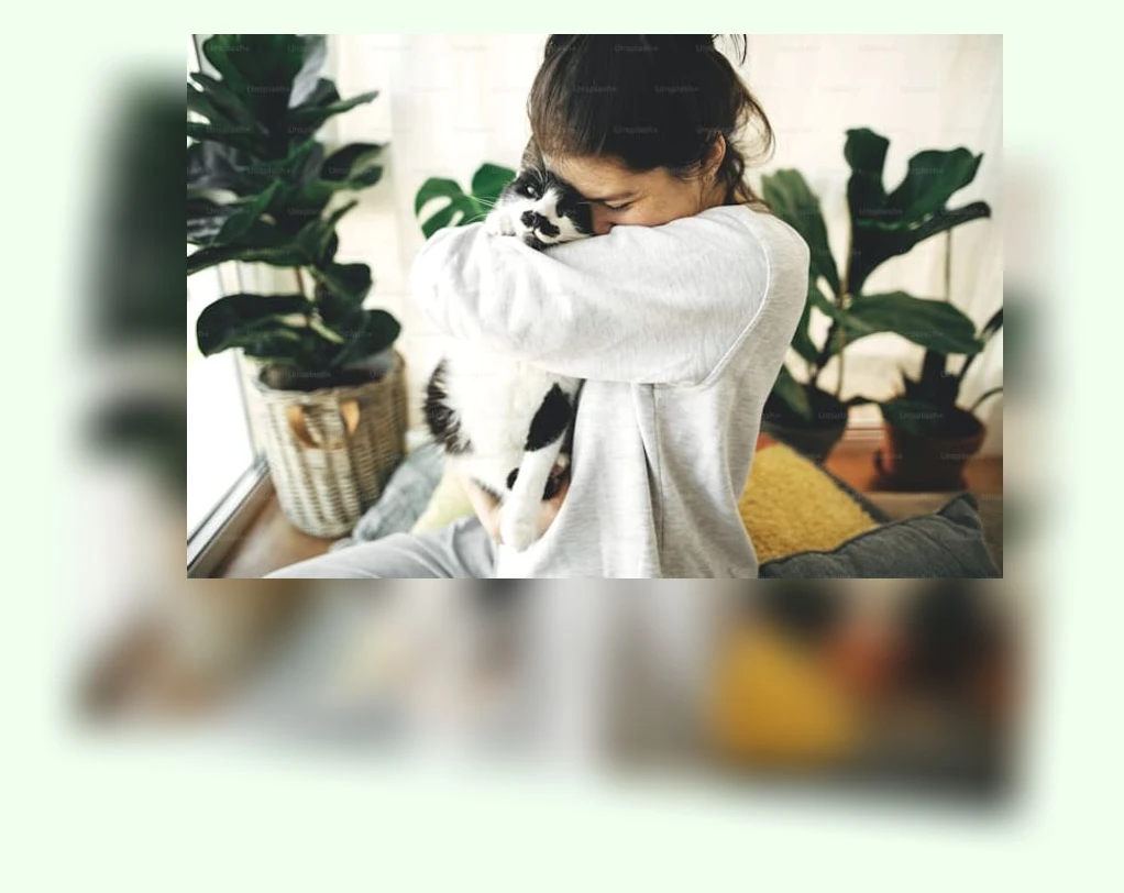 고양이 애정표현_1_subsection