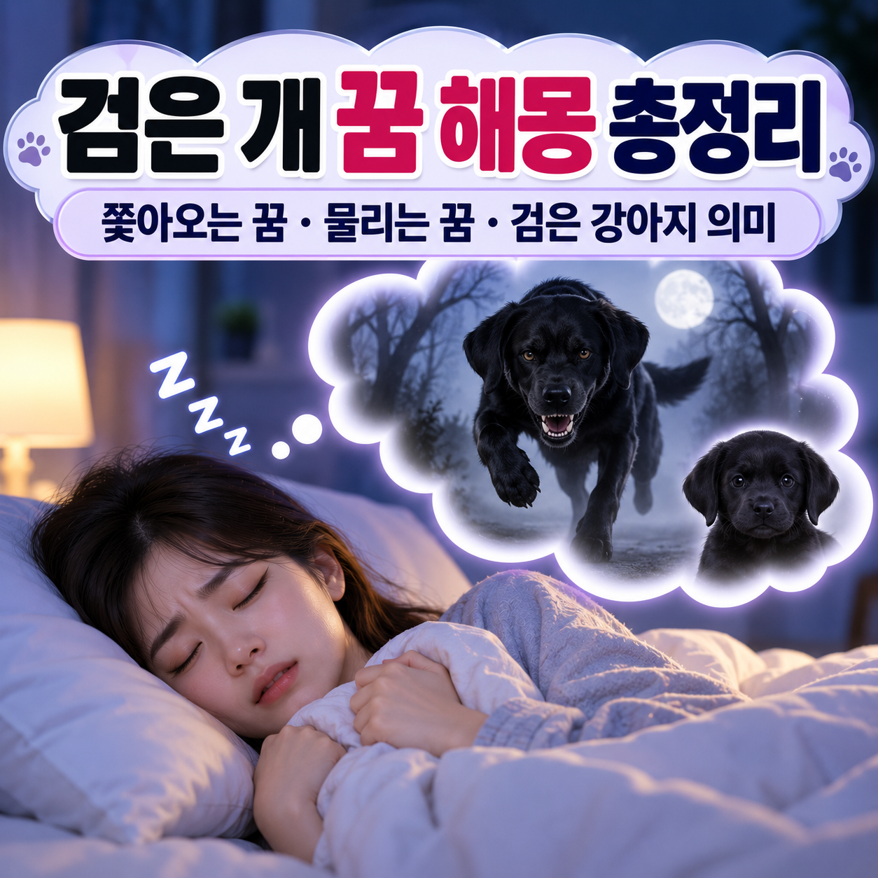 검은 개 꿈