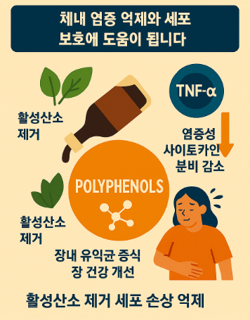 발사믹 식초의 혈당 조절 효과와 과학적 근거