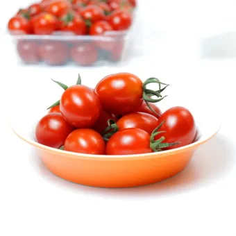 방울토마토 재배 방법_22