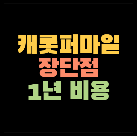 캐롯퍼마일 장점 단점 3가지 ❘ 자동차보험료 1년에 얼마일까?