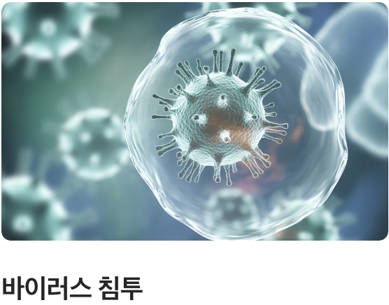 이미 들어온 바이러스의 증식을 억제하다