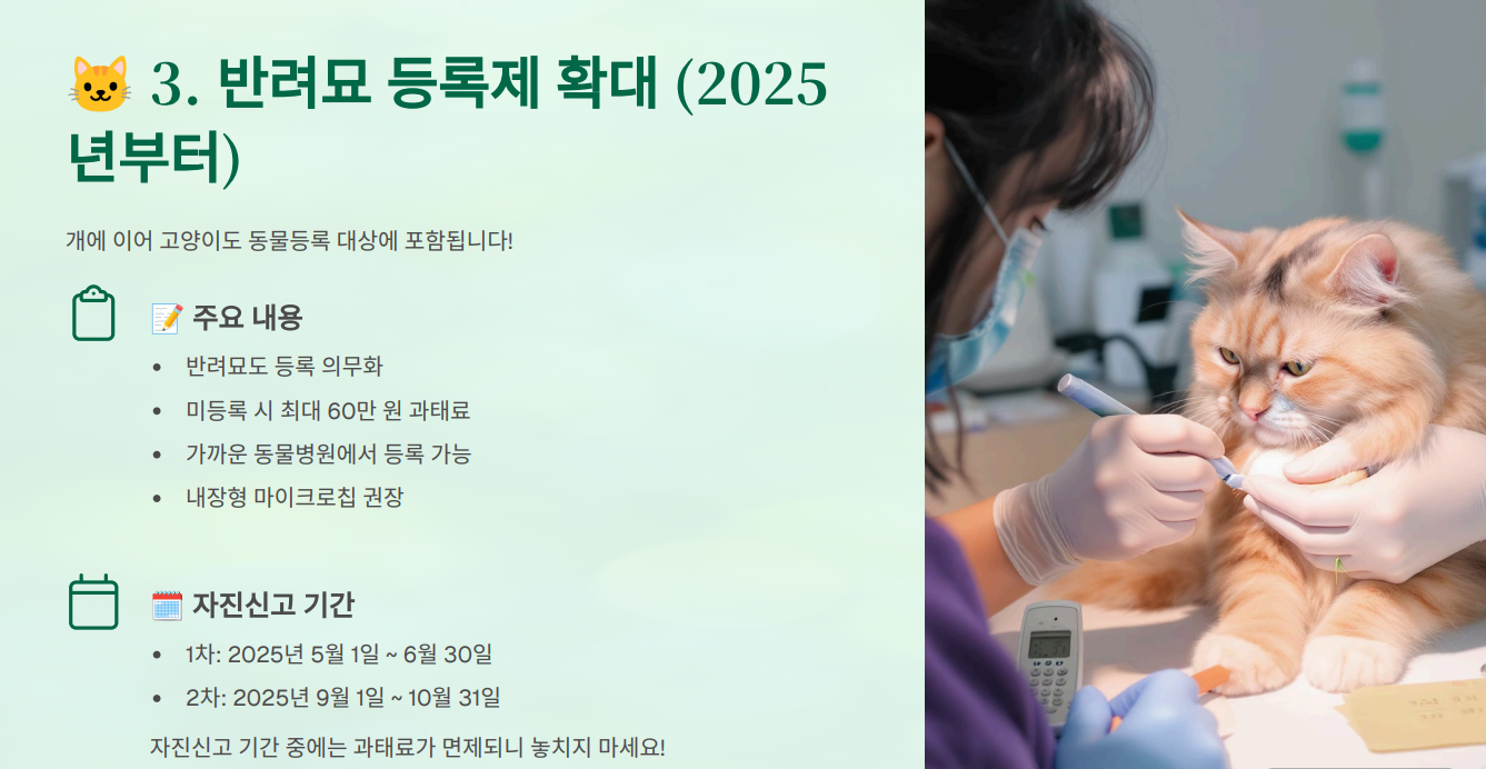 반려묘 등록제 확대