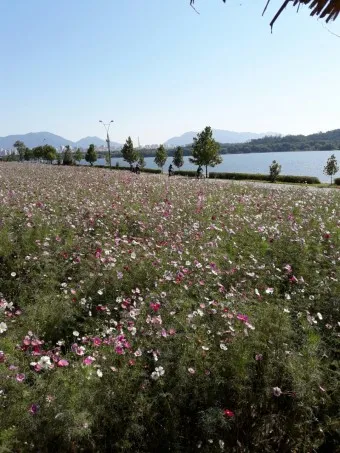 구리 가볼만한곳 베스트10 현지인 추천 필수코스_21