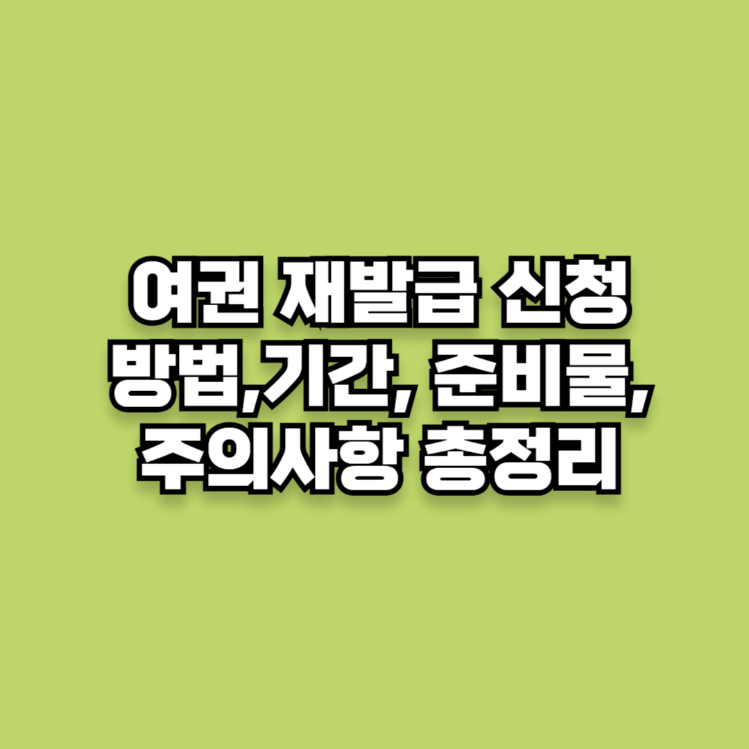 여권 재발급 신청 방법,기간, 준비물, 주의사항 총정리