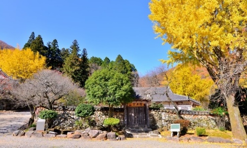 순천_선암사
