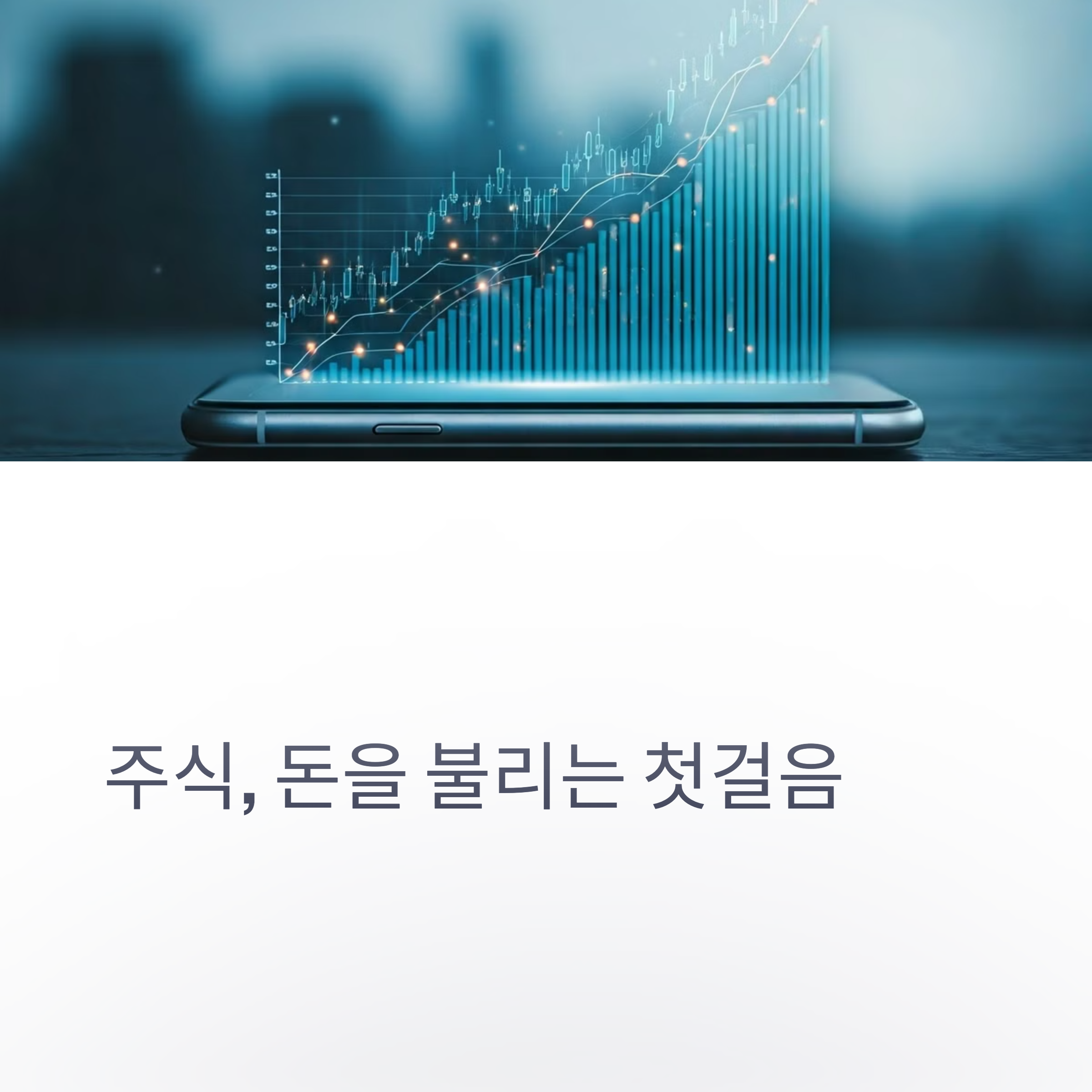 주식의개념
