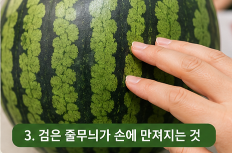 줄무늬 확인