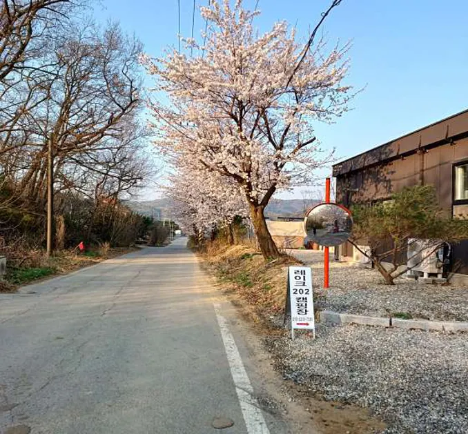 레이크202캠핑장