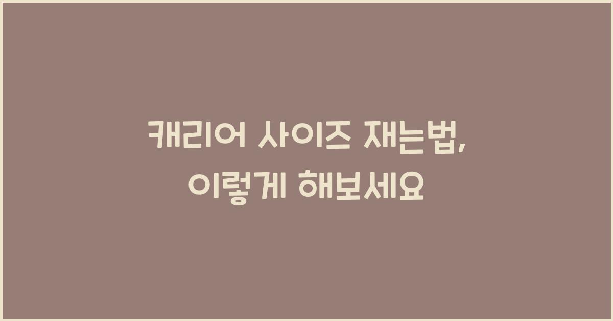 캐리어 사이즈 재는법
