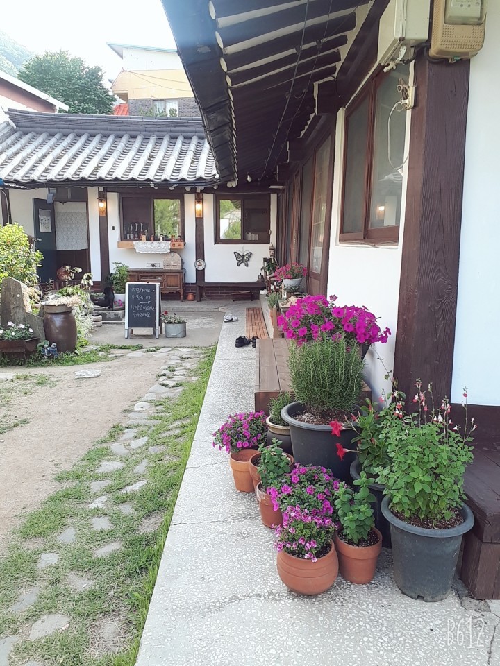 정선 가볼만한 곳