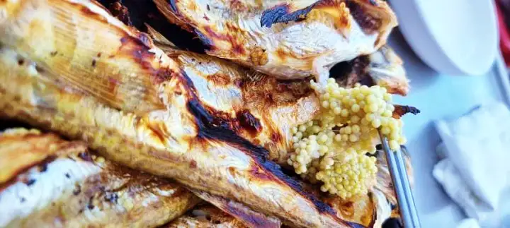 도루묵 찌개 구이 조림 고소한 알이 톡톡 강원 고성 맛집 먹자 포구 추천