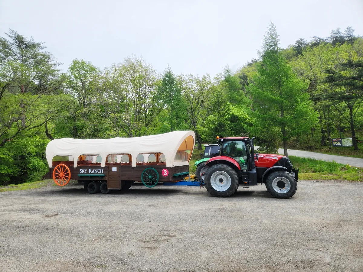 평창-하늘목장-트랙터마차