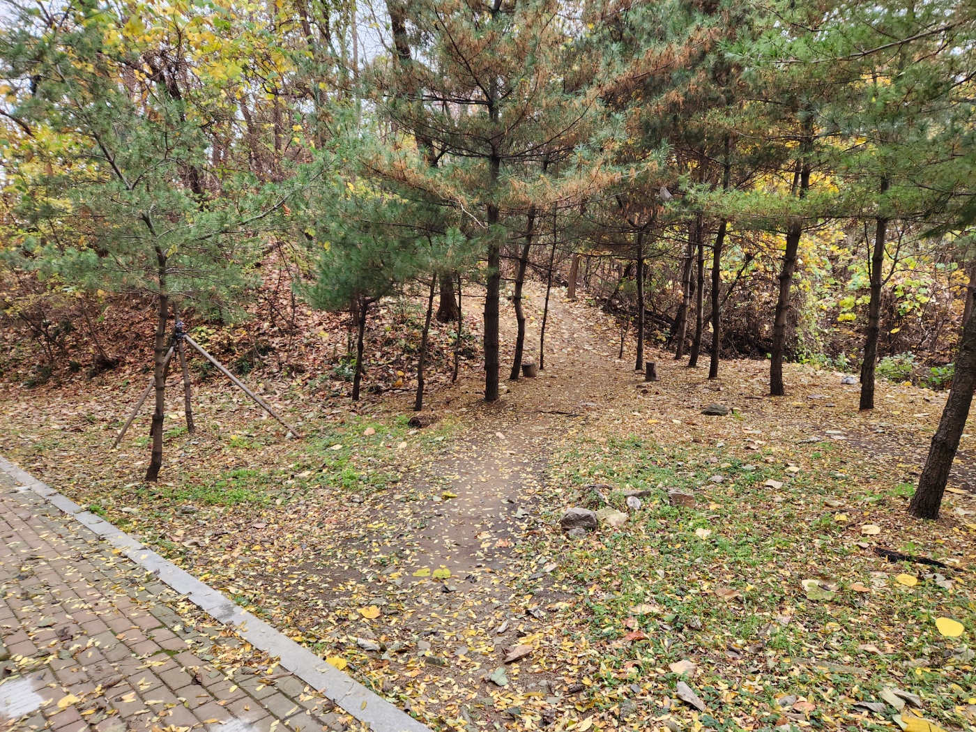 맨발걷기-산책길-시작-그루터기의자