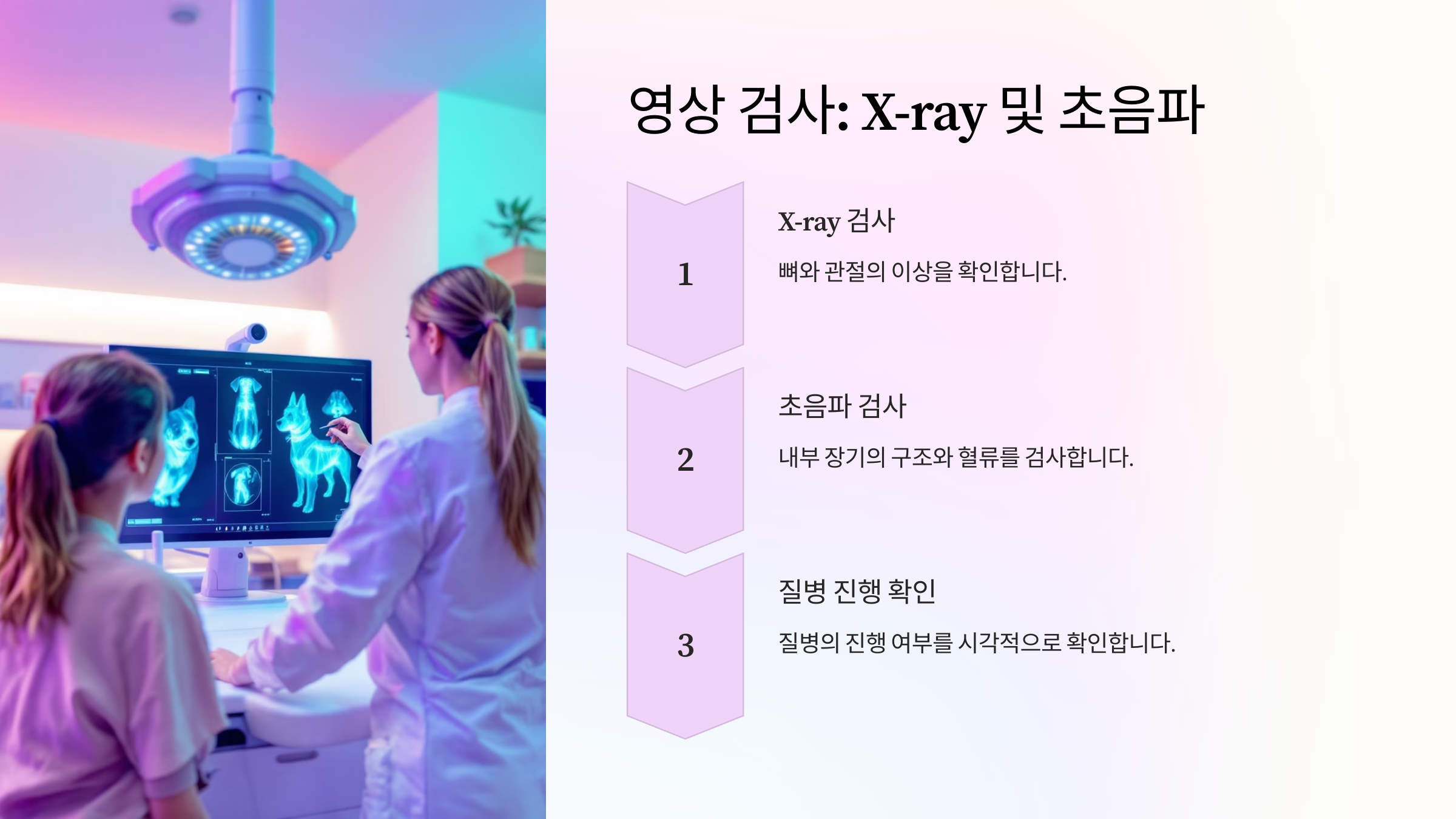 영상 검사 (X-ray 및 초음파)