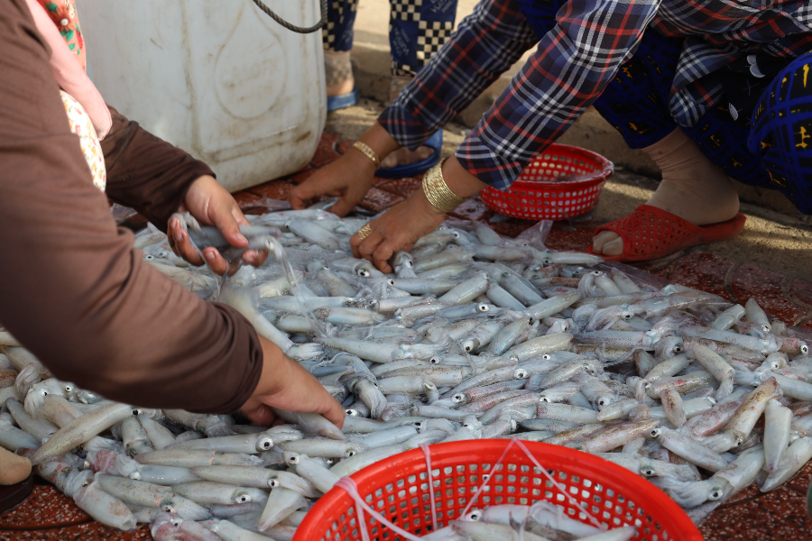 대한민국 수산대전