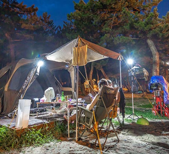 연곡솔향기 캠핑장 예약방법 및 이용방법 총정리