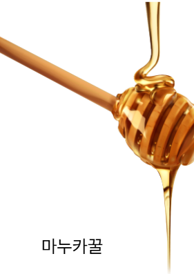 마누카꿀-먹는법