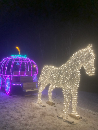 가평 아침고요수목원 빛축제 가족여행 후기