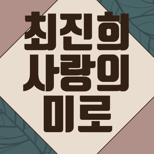 최진희 사랑의 미로