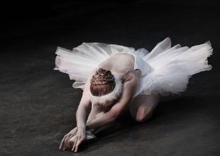 서울 청년문화패스